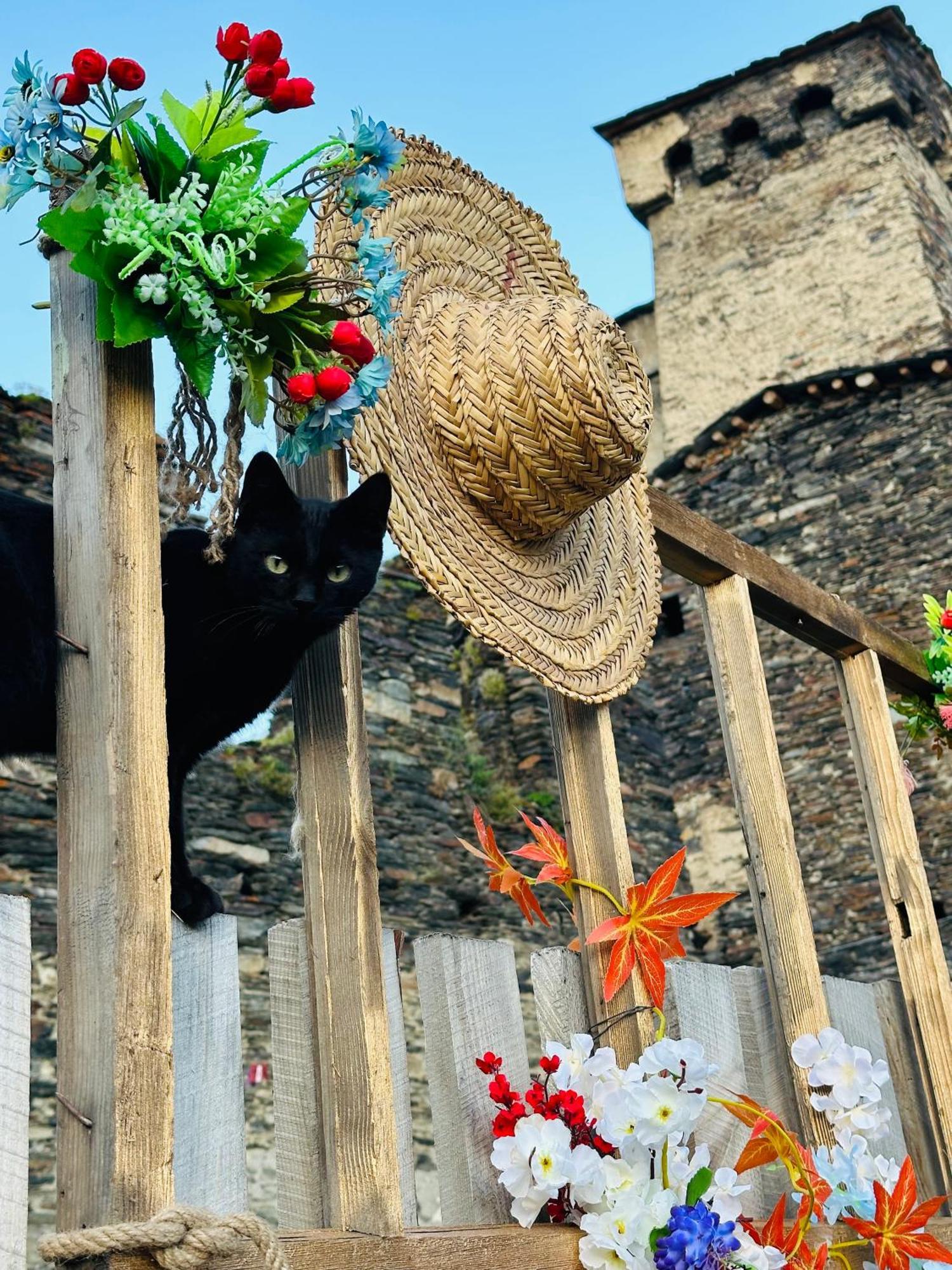 Nanila Hotel Ushguli Bagian luar foto